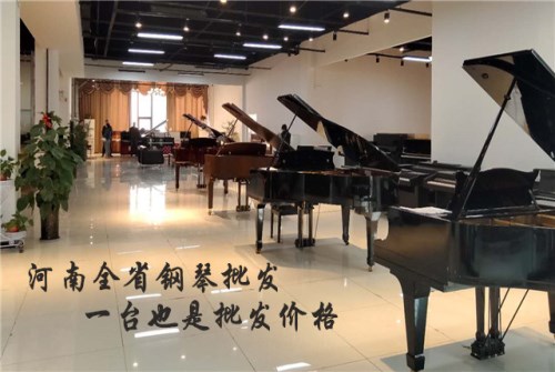 商丘珠江钢琴专卖店_博兰斯勒钢琴相关-河南欧乐钢琴之家